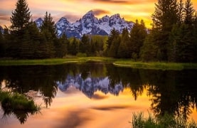 neture